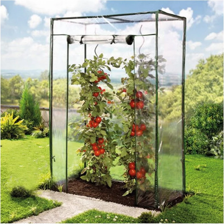 TOPCENT Tomatengewächshaus Tomaten-Gewächshaus mit PE-Abdeckung, 100 x 50 x 150 cm, PE-Folie, leichter Aufbau