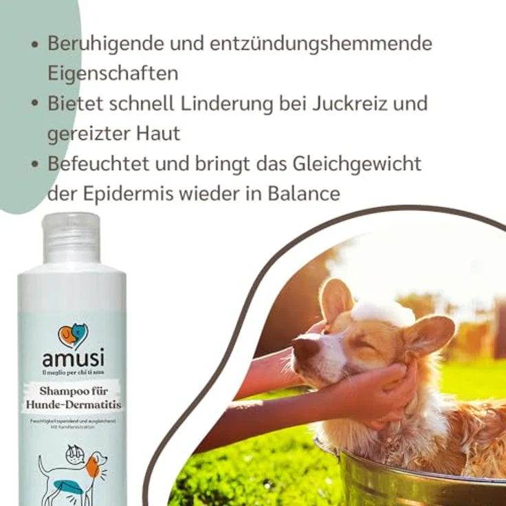 Amusi Dermatitis-Hundeshampoo sensitiv, 250 ml mit beruhigendem Kamillenextrakt und Duft, ideal für empfindliche Haut – Bild 3