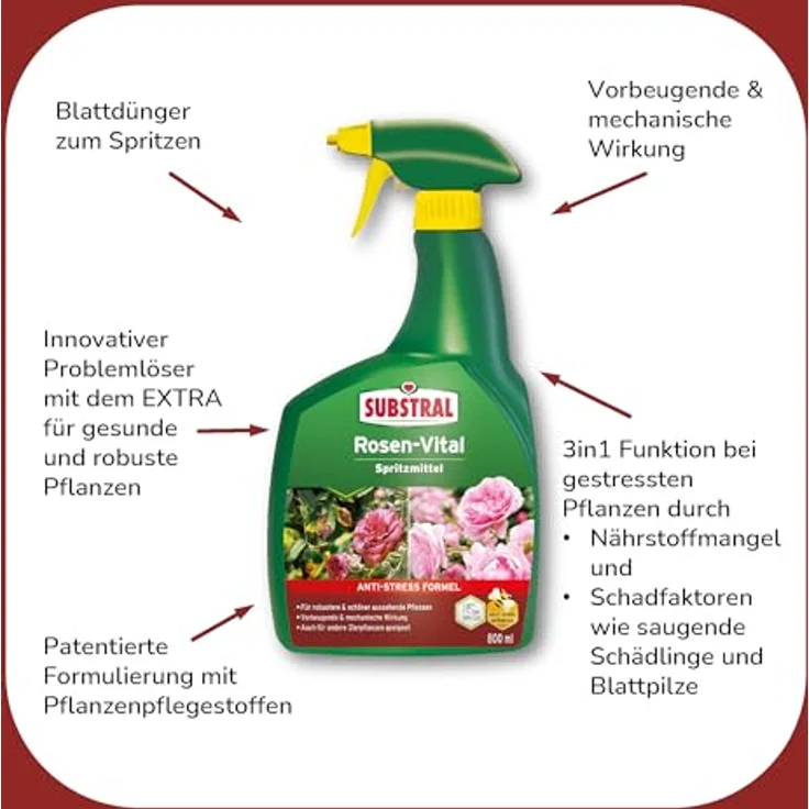 Substral ROSEN-VITAL Spritzmittel, 800ml, Sofort-Hilfe bei Stresssymptomen, Grün – Bild 4