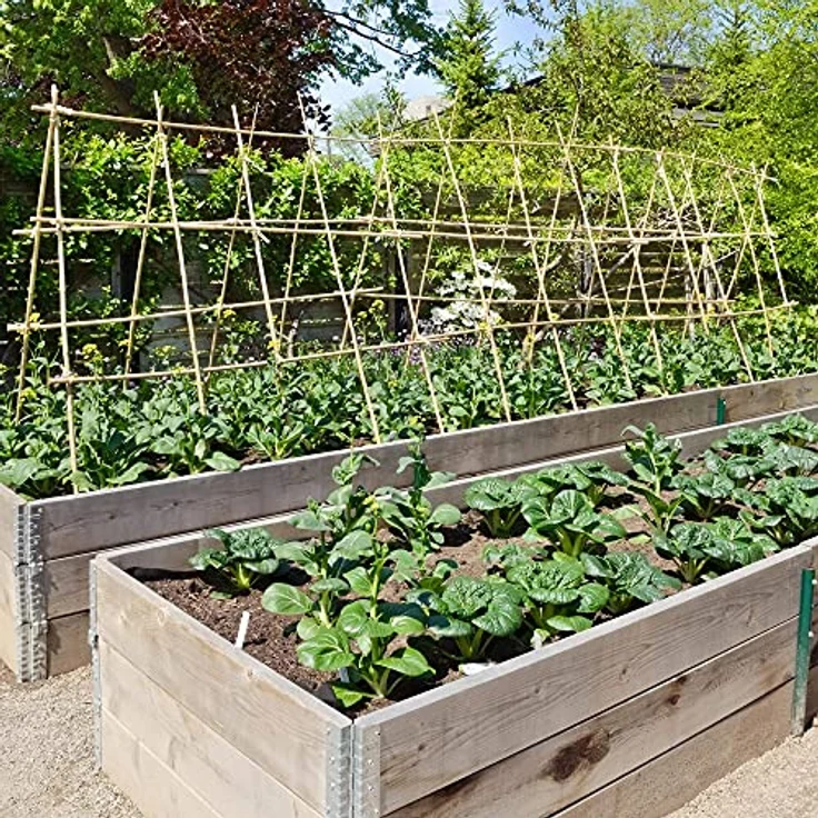 UNUS Bambusstäbe, Pflanzenstäbe zur Stabilisierung von Pflanzen im Garten, Rankstäbe Bambus 120 cm naturfarbend, 50 Stück – Bild 3