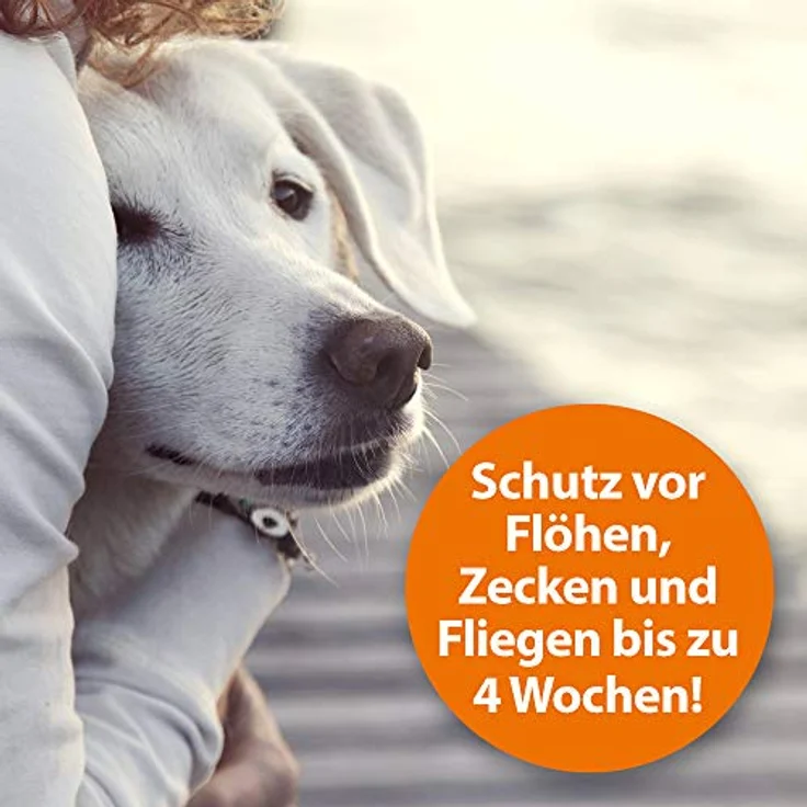 Ardap ARDAP® Flohspray, Insektenspray zur Anwendung am Tier, 250ml mit natürlichen Wirkstoffen – Bild 6