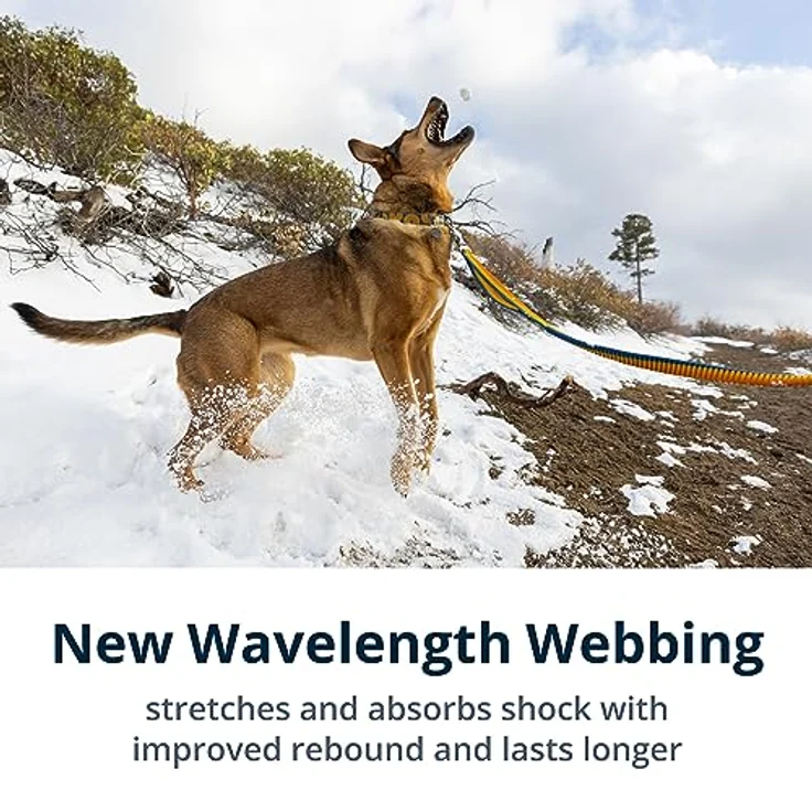 Ruffwear, Roamer Bungee-Hundeleine zum Laufen, Radfahren oder Wandern, kann mit der Hand oder ohne Hände verwendet Werden, Felsgrün, 20-30 cm – Bild 3