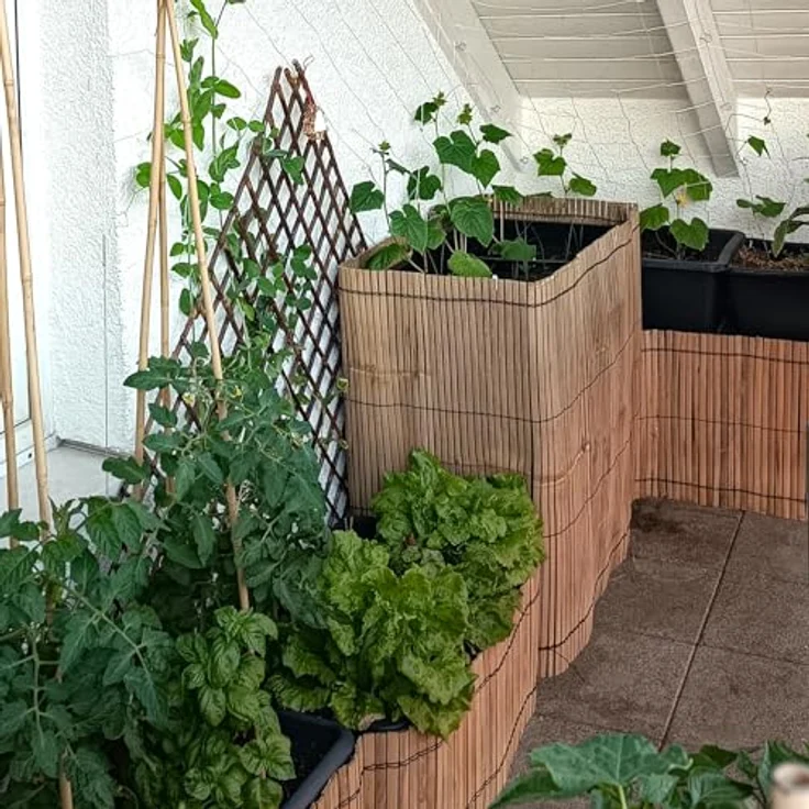 Bamboona Flexible Filigrane Beetumrandung aus hellen Bambusleisten, praktische Rasenkante, anpassbare Einfassung für Beete und Mörtelkübel, 200 cm (Höhe 50 cm) – Bild 5