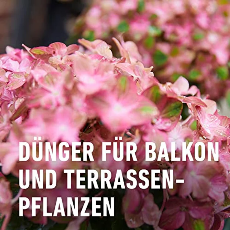 Compo Qualitäts-Blumendünger 1 Liter – Bild 4
