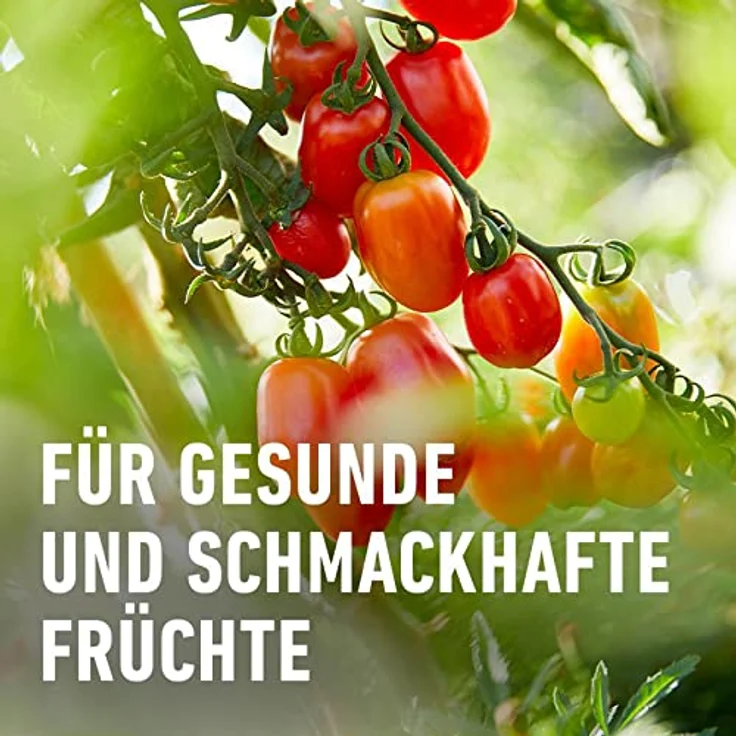 Compo Horn- und Knochenmehl Compo 12631 Horn???? 2,5kg – Bild 6