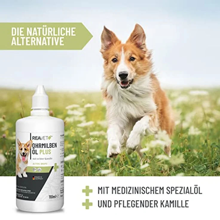 ReaVET TESTURTEIL SEHR GUT 01/24 Ohrmilbenöl Plus 110ml sofort wirksames Mittel für Hunde – gegen Ohrmilben mit Kamille, Sanfte Pflege bei Juckreiz im Ohr, Ohrentropfen Milben, Ohrenreiniger – Bild 5