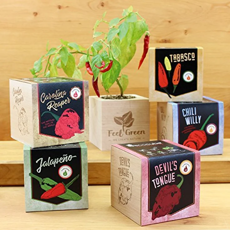 Feel Green Ecocube Chili Carolina Reaper, Anzuchtset mit Schärfegrad 10+ und 2.2 Millionen Scoville, 100% Eco Friendly, Made in Austria – Bild 3
