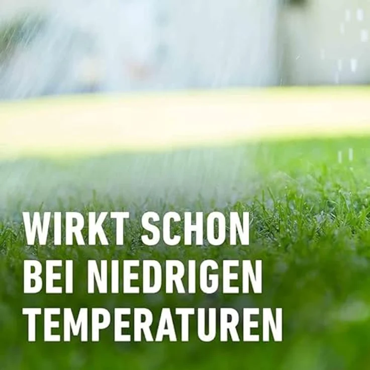 Compo GmbH Rasen Langzeit-Dünger Perfect 1,5 kg für 60 m² – Bild 7