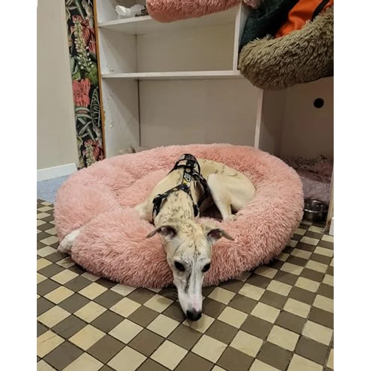 Beliani Kuscheliges Tierbett oval für Hunde Katzen Polyester rosa ⌀ 80 cm Kulu, bequemes Schlafplatz für kleine und mittlere Haustiere in leuchtender Farbe – Bild 4