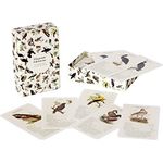 QianShouYan Eulberg Flying Gemstones - A Bird Quartet by Dominik