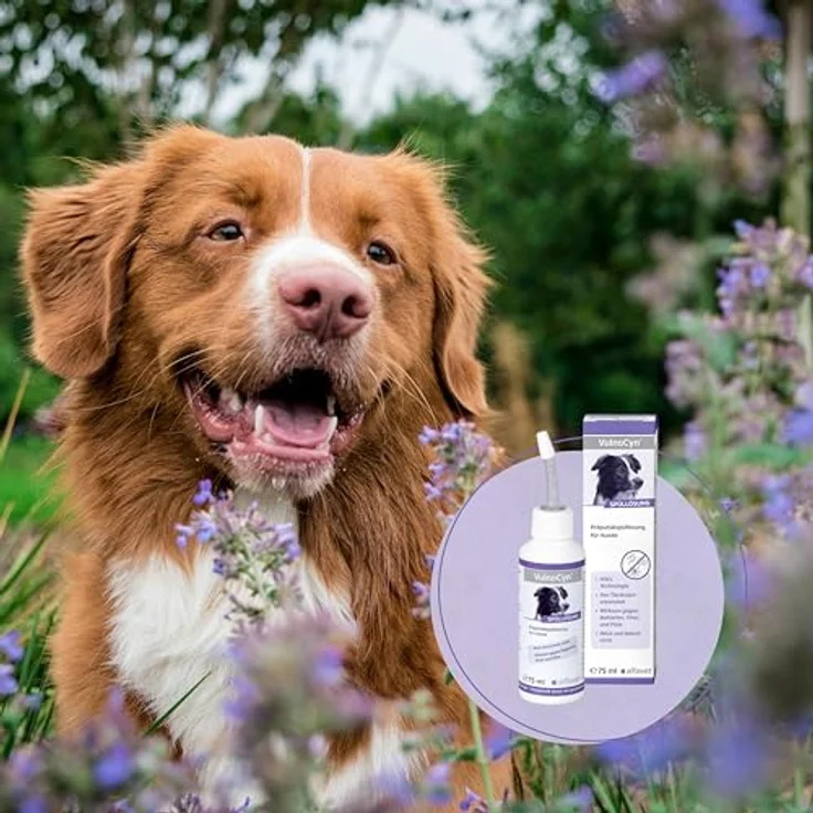 Alfavet VulnoCyn Präputialspüllösung, Vorhautspülung für Rüden, Pumpsray 75 ml – Bild 4