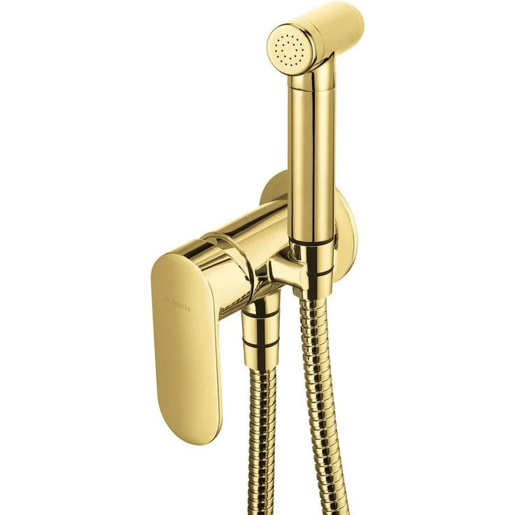 TRIZERATOP Unterputzarmatur Bidetarmatur, Einhebel-Mischer in Gold mit Rückschlagventilen und Bidet-Handbrause, Durchflussklasse Z (4-9 l/min)