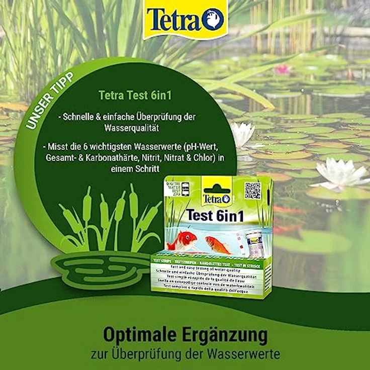 Tetra Pond MediFin (universell wirkendes Arzneimittel für alle Gartenteichfische, hilft effektiv und schnell gegen Hautparasiten und bakterielle Hautinfekte), 3 Liter Flasche – Bild 8
