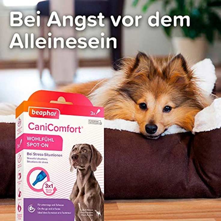 beaphar CaniComfort Wohlfühl Spot-On,Beruhigungsmittel für Hunde mit Pheromonen, 3er Pack ( 3 x 1 ml ) – Bild 5