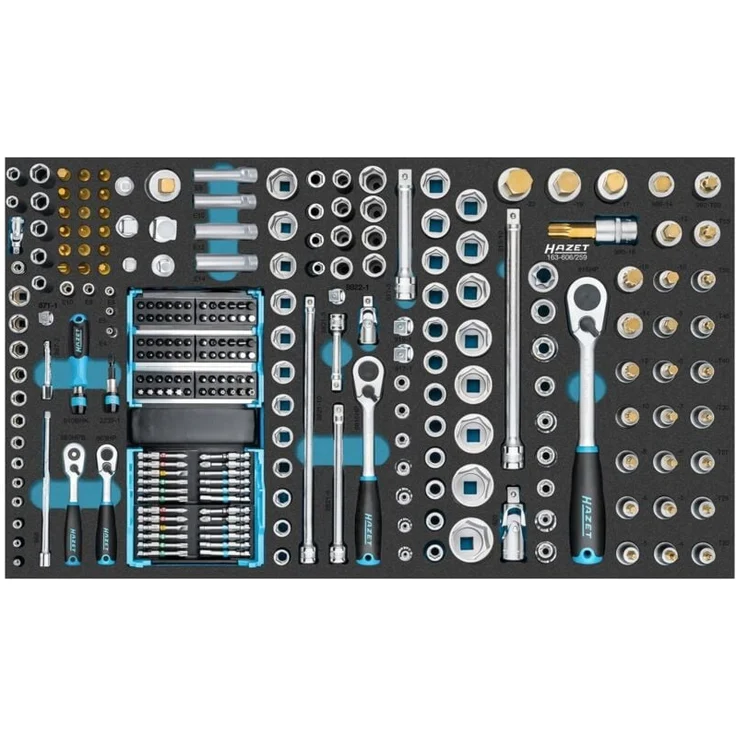 Hazet Steckschlüssel Satz 163-606/259, 259-teiliges Set mit E- und M-Schlüsseln, PH, PZ und T-Antrieb, passend für Hazet Werkstattwagen