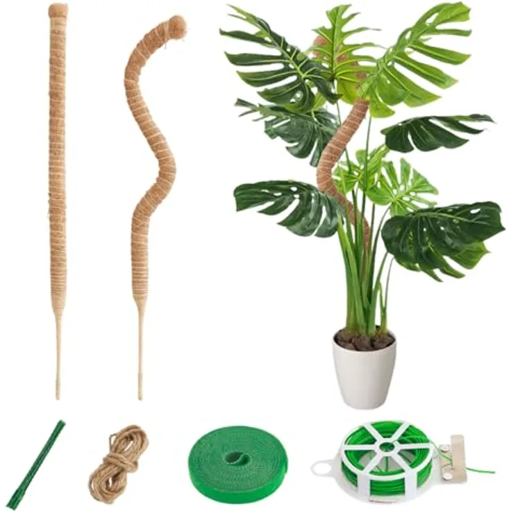 CNMTCCO 2 Stück 60 cm Moosstab für Kletterpflanzen, Rankhilfe aus Kokosfaser mit Zubehör für Indoor Monstera und Philodendron