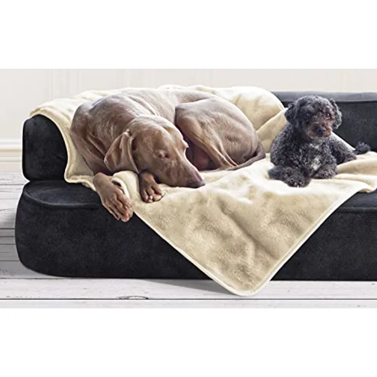 tierlando® Hundedecke Lilly Flauschige Kuschelige Haustier-, Welpen-, Katzen-, Plüschdecke M (75x50 cm) | 05 Creme