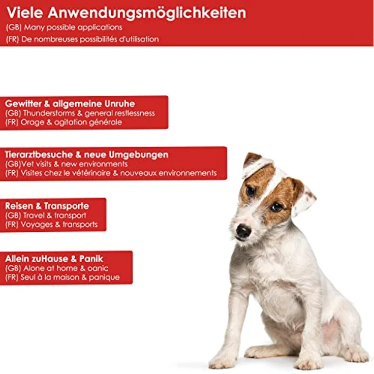 RelaxoPet Pro, Tierentspannungs-Trainer, Beruhigung für Hunde, hochfrequente Klangwelten zur Entspannung, TÜV Zertifiziert. Bekannt aus 'Die Höhle der Löwen', P300-001, rot - Preisvergleich – Bild 3