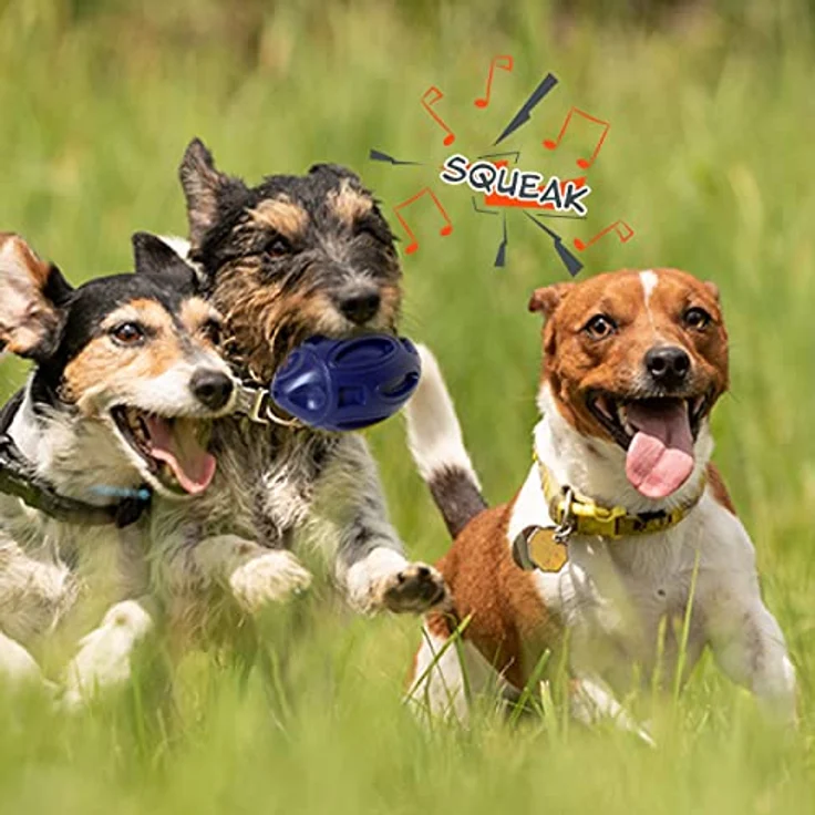BI International Hundespielzeug zum Werfen, Kauspielzeug aus 100% Naturkautschuk für kleine, mittlere und große Hunde, wasserfest mit Quietschfunktion und Zahnreinigung – Bild 3