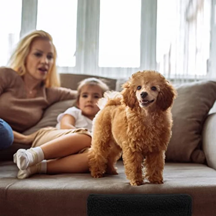 Relaxdays Hundetreppe 3 Stufen, kleine & große Hunde, Bett & Couch, Stoffbezug, Tiertreppe innen, 30x35x45 cm, schwarz 1 Stück – Bild 3