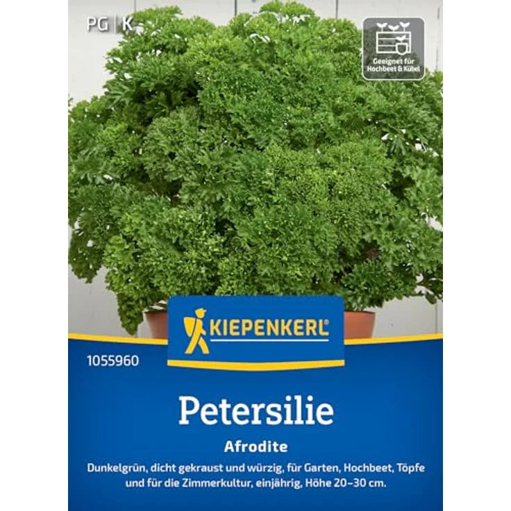 Kiepenkerl Profi-Line Kräutersamen Petersilie Afrodite, Saatgut für 350 Pflanzen, Erntezeit Juni, weißblühend – Bild 1