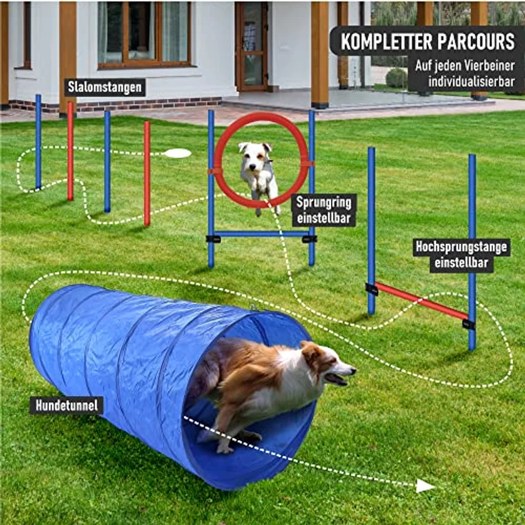 LEMODO Agility Set Hunde | Hundetraining mit Agility Hürde, Hundetunnel und Sprungring | Einfach zu transportierendes Hundetraining Zubehör | Einsteiger-Set in den Hundesport – Bild 2