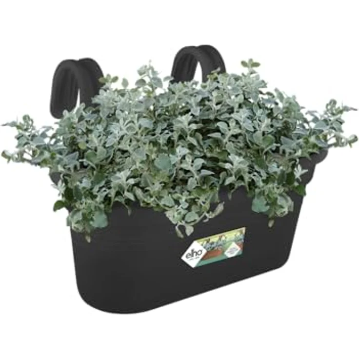 elho Green Basics Easy Hanger L 35 - für Innen & Außen - Ø 36.0 x H 26.0 cm - Schwarz/Living Schwarz – Bild 3