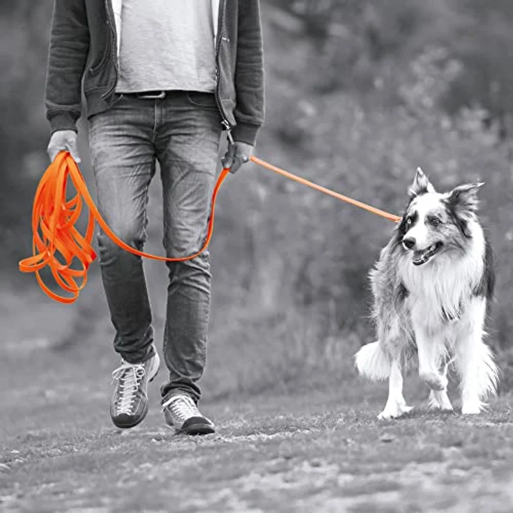 Schecker orange Biothane® Schleppleine mit Handschlaufe, 10 m / 19 mm extrem widerstandsfähig, witterungsbeständig und reißfest – Bild 2