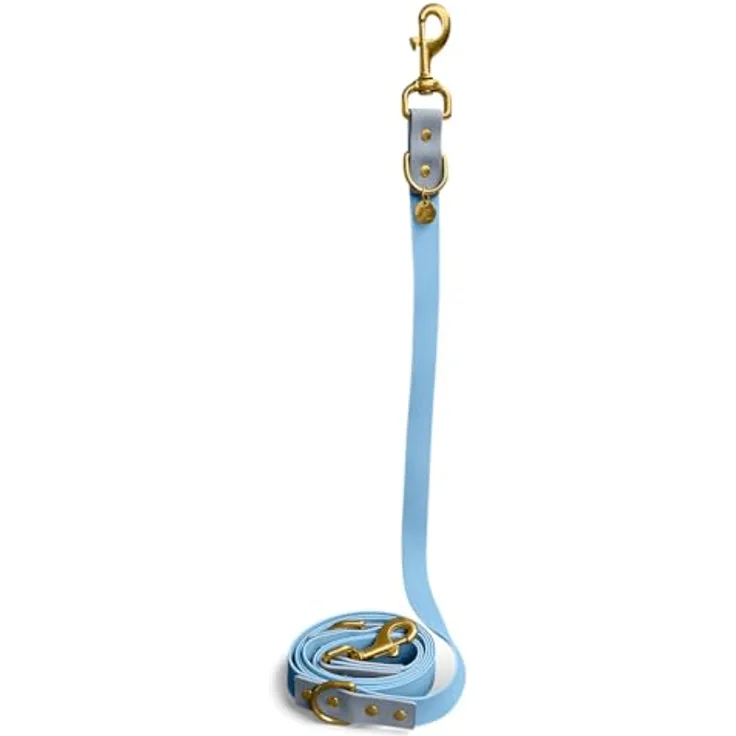 Hey Lana Biothane Hundeleine Führungsleine, Made in Germany, 2 Karabiner & 3-Fach verstellbar, Hund Führleine Leine, Zugleine Hundelaufleine Trainingsleine Handsfree (S, Taupe/blau, 230 x 1,5 cm)