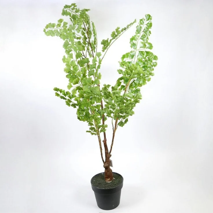 SB Zentralmarkt Kunstpflanze Gingko künstliche Zimmertopfpflanze grün Hoch 110cm