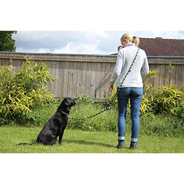 Hundeleine geflochten für größere und große Hunde 4-Fach verstellbar 2,8 m lang 4-farbig (apfelgrün-tannengrün-schwarz-weiß), Made IN Germany – Bild 4