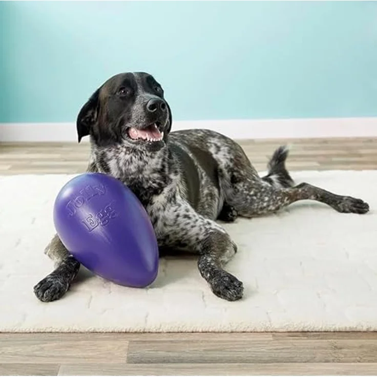 Jolly Pets Jolly Ei Hartplastik -Kugel für Pets Spaß-Hunde Chewers Spielzeug Rot 20cm – Bild 6