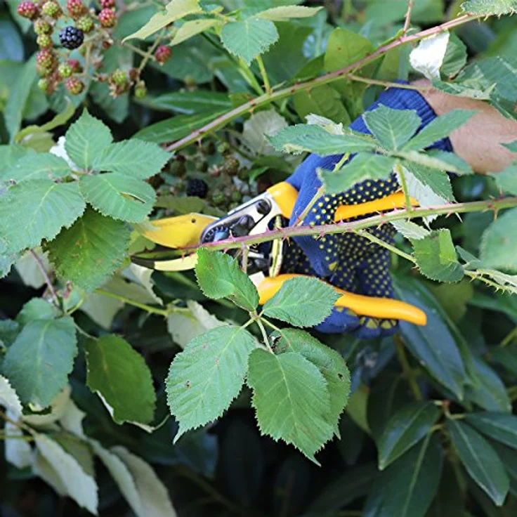 GRÜNTEK Z-19 Gartenschere, titanbeschichtete Allround-Pflanzenschere mit ergonomischem Design, 200mm Bypass für Linkshänder und Rechtshänder – Bild 3