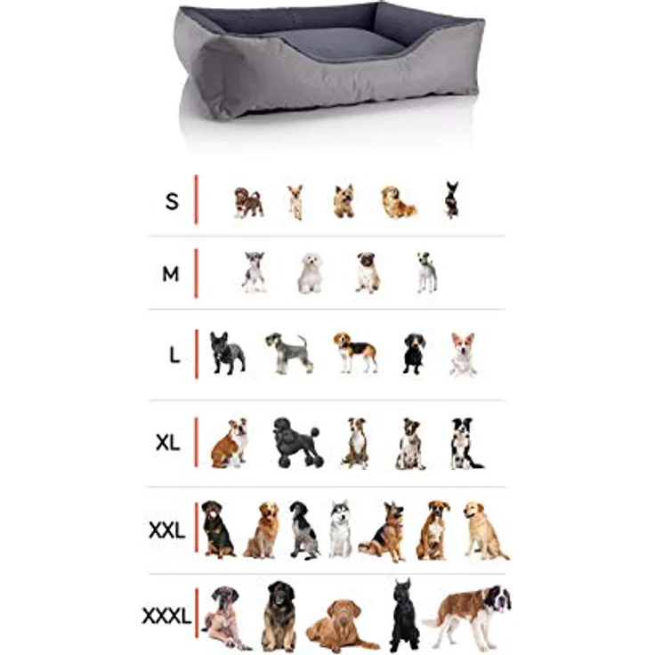 BedDog Hundebett Teddy flauschig, Hundekissen mit abziehbaren waschbaren Bezug, Hundekorb, Hundesofa, für kleine Hunde, S, orange-grau – Bild 2