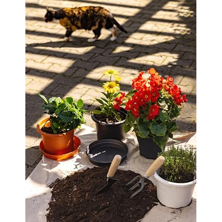 Garronda Untersetzer Blumentopf Kunststoff, Terracotta, rund, Ø 16cm, wasserableitend, 1 Stück oder 3er Pack – Bild 5