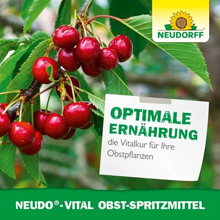 Neudorff Neudo-Vital Obst-Spritzmittel – Bild 6