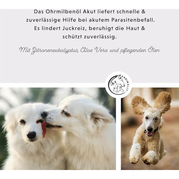 Annimally Ohrmilbenöl Akut, natürliches Mittel gegen Milben beim Hund mit Aloe Vera & Schwarzkümmel, beruhigendes Öl gegen Juckreiz, pflegt & schützt, Made in Germany – Bild 2