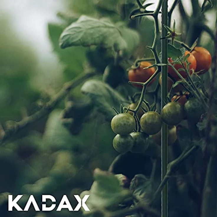 KADAX Pflanzstäbe 150 cm, 15er Set – Beschichteter Stahl, Wetterfest & Stabil, Pflanzenstütze für Garten, Tomatenstäbe – Bild 4