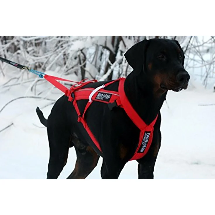 Non-stop dogwear Combined Harness (Hunde-Zuggeschirr) | geeignet für Skijöring und Pulka, schwarz – Bild 5