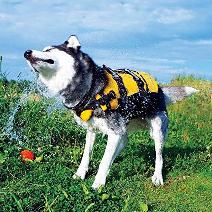 EzyDog LIFE JACKET M, Hundeschwimmweste rot für Hunde 38-50 cm, 18-27 kg mit verstellbaren Gurten und Clip für Hundeleine – Bild 6