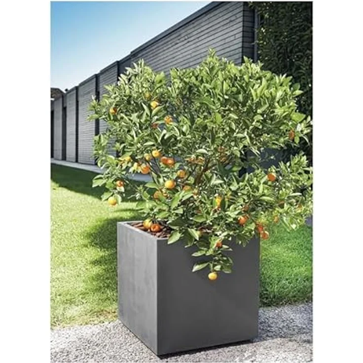 Deroma Pflanzkübel Millenium, viereckiger Kunststoff Pflanztopf, anthrazit, 49 cm, 80 Liter Volumen, UV-beständig und winterfest – Bild 4