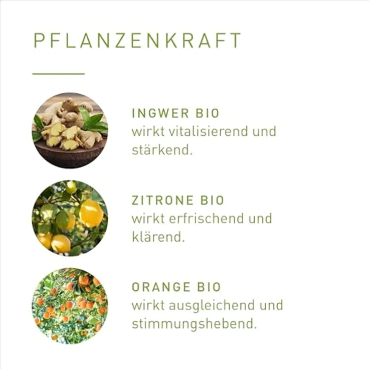 Primavera Aroma Sauna Wärmekick Bio Saunaaufguss, aktivierender Ingwer-Orangen-Duft für wohltuende Entspannung – Bild 4