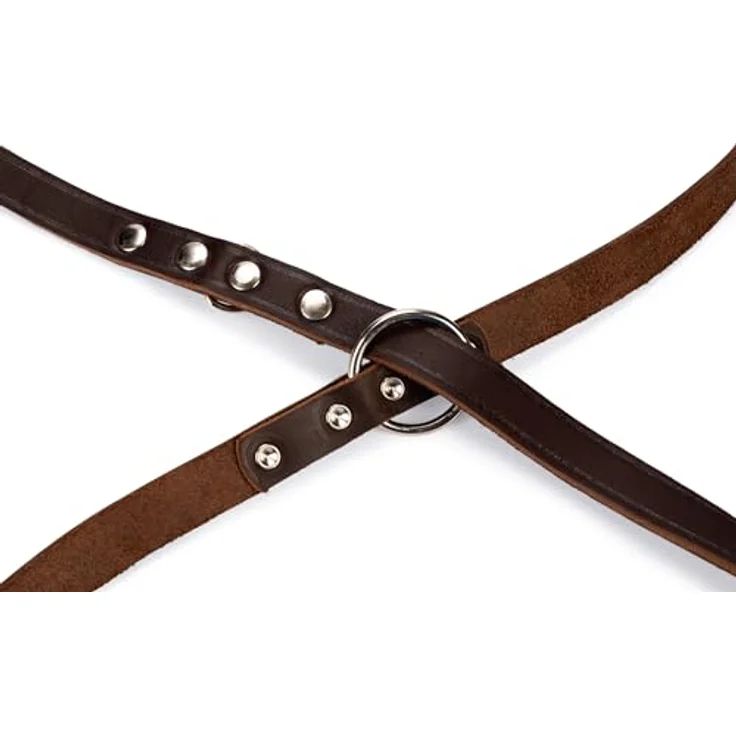 Karlie Rodeo (M, Hund, Spazieren), Halsband + Leine – Bild 4