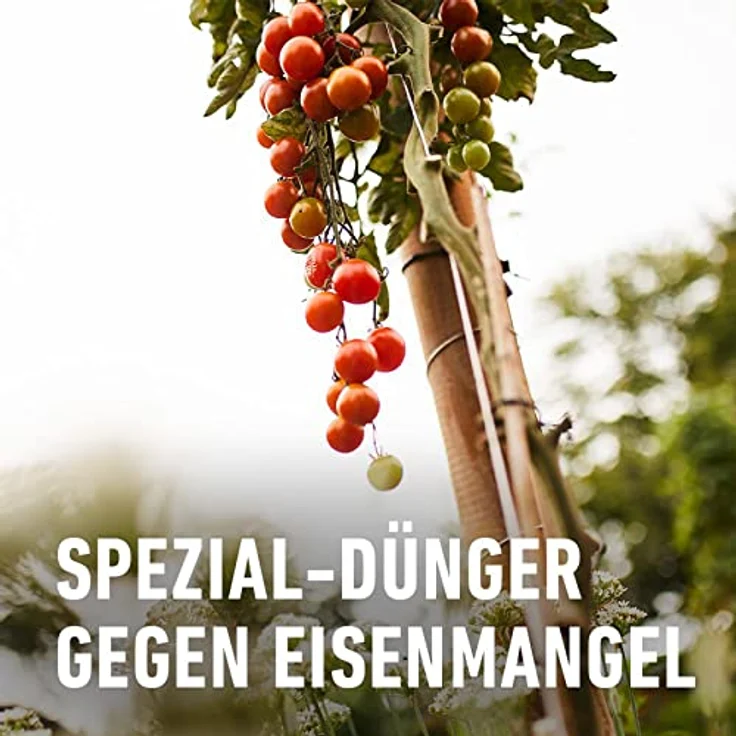 Compo Eisendünger, 250 ml – Bild 3