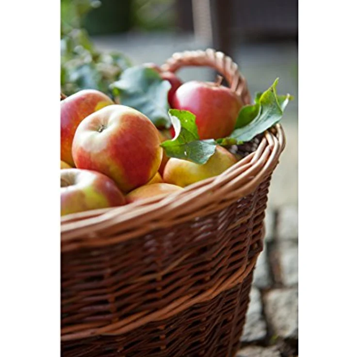 Dehner Weidenkorb, Höhe 25 cm, Ø 35 cm, Weidengeflecht – Bild 4