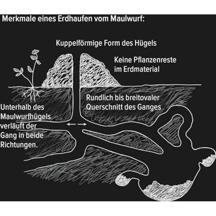 Celaflor Wühlmaus-Gas Arrex 250 g – Bild 4