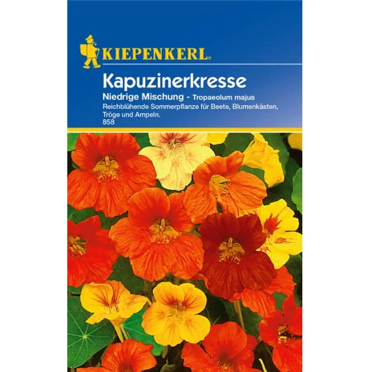 Kapuzinerkresse niedrige, Mischung – Bild 2