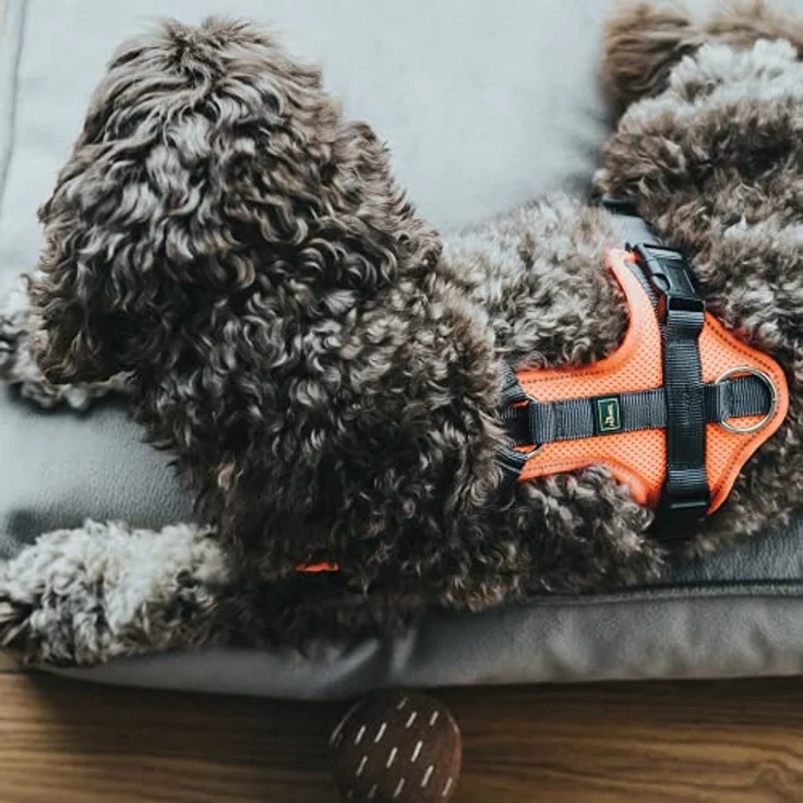 Hunter Hunde-Geschirr Maldon orange-grau XS – Bild 5