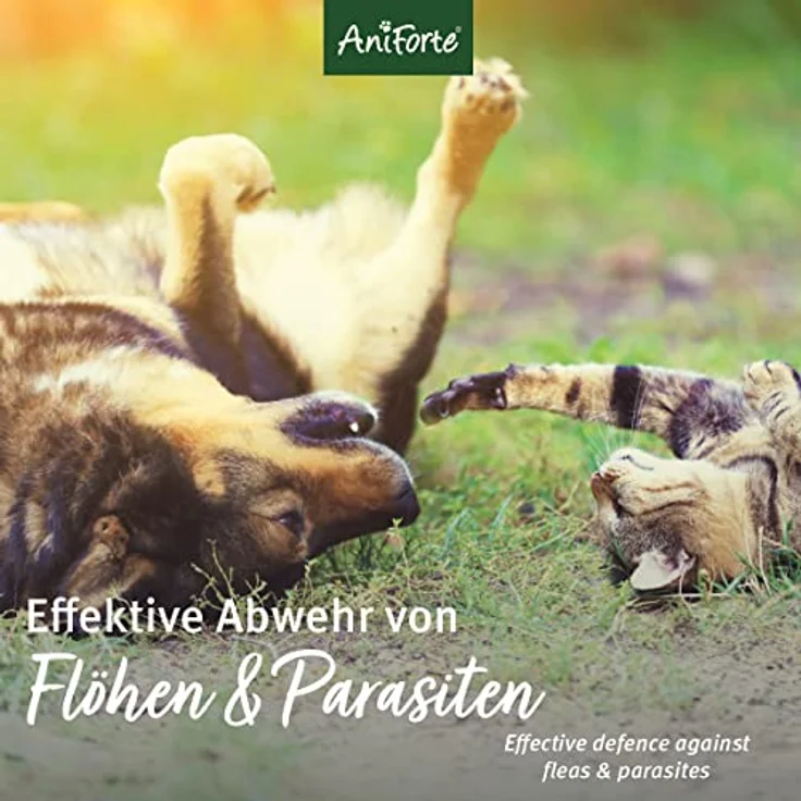 AniForte Flohspray für Hunde & Katzen 250 ml - Floh-Ex Spray zur Abwehr gegen Flöhe, Flohmittel bei Parasiten & Flohbefall, Antiflohmittel mit Geraniol & natürlichen Ölen – Bild 3