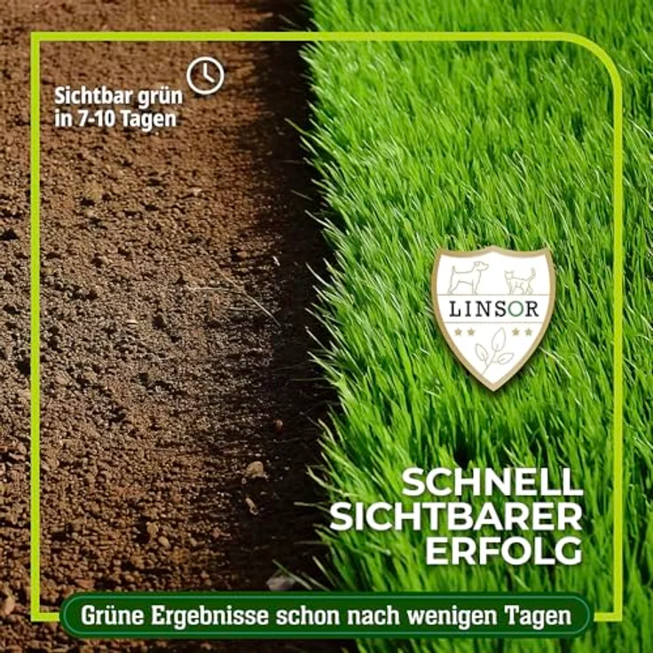 Linsor Zauberrasen Rasensamen schnellkeimend, 1 kg für 50 m², ideal für Neuanlage und Rasenreparatur – Bild 2